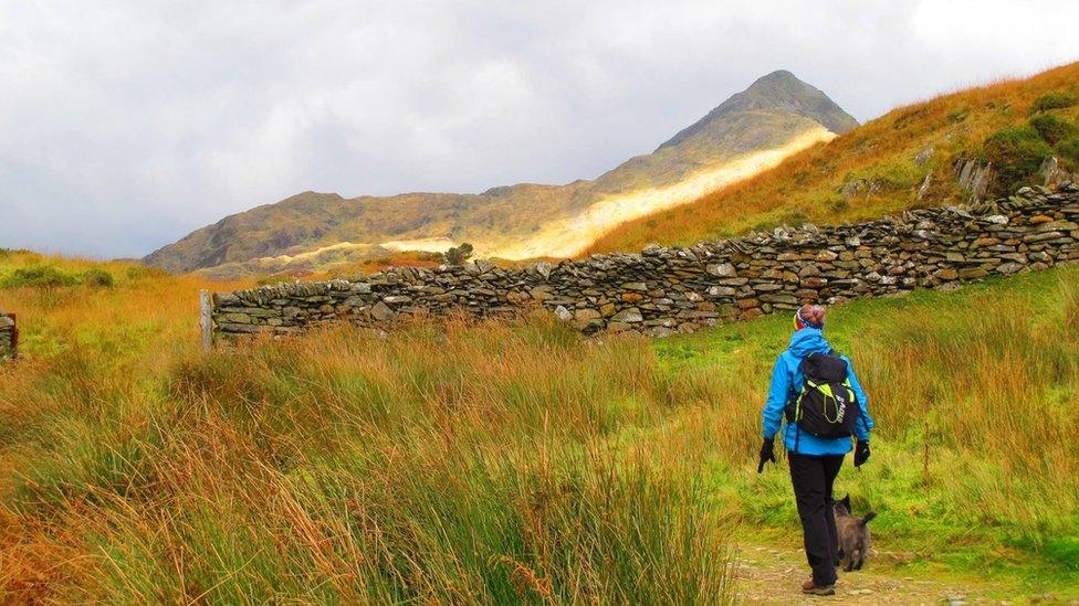 One woman and her dog: Autumnal colours at Cnicht, Snowdonia, taken by Neale Lewis Jones