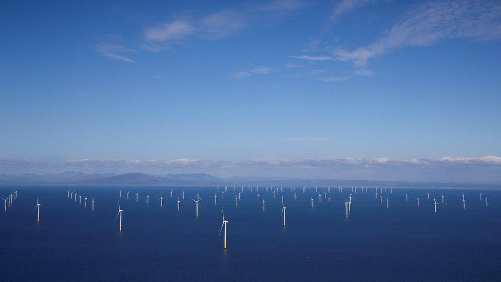 Aerial view of an offshore wind farm