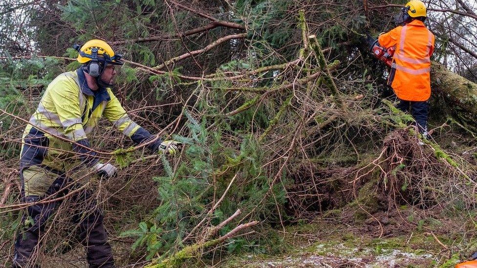 Tree cutters