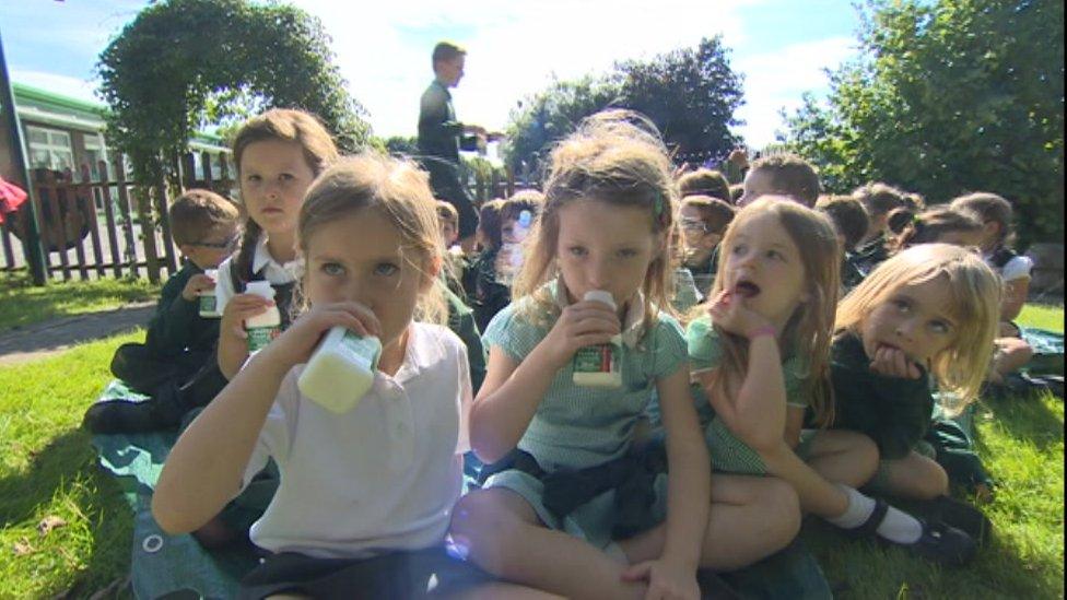 School children sitting outside on the grass on a sunny day drinking milk