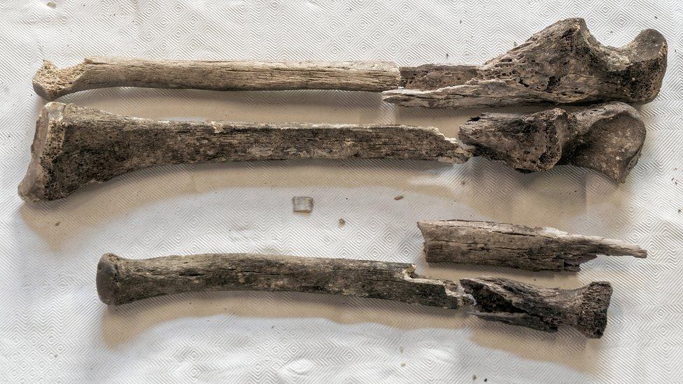 Bones found hidden in a church wall