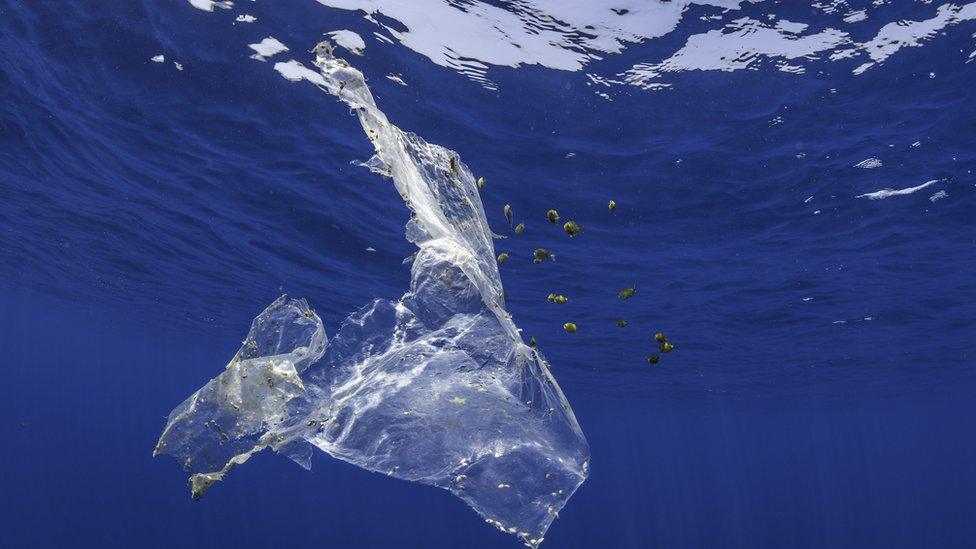 plastic bag in ocean