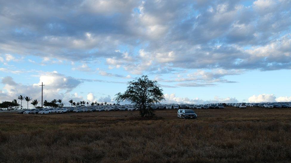 Unused rental cars sit on a field