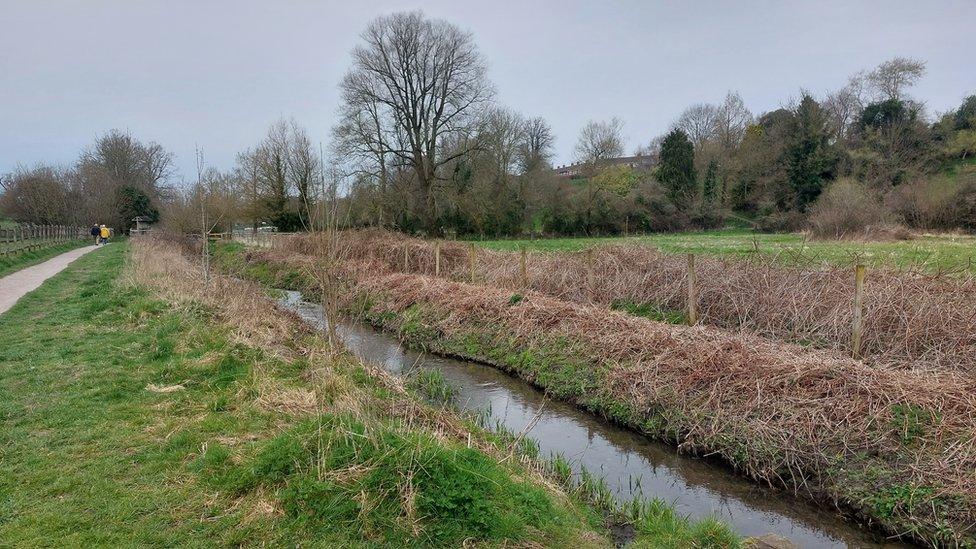 River Were in Wiltshire