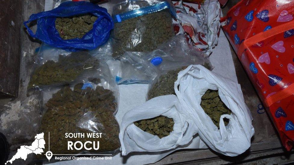 A large amount of cannabis in a van