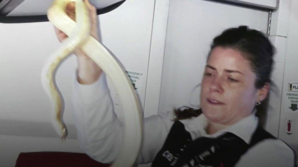 Flight attendant with snake