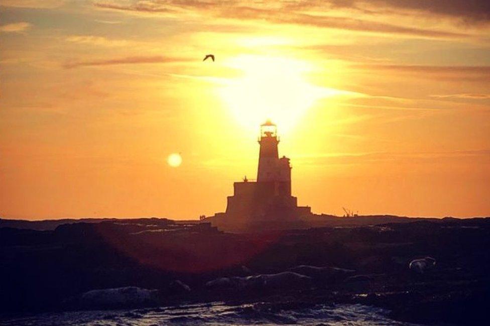 Farne Islands