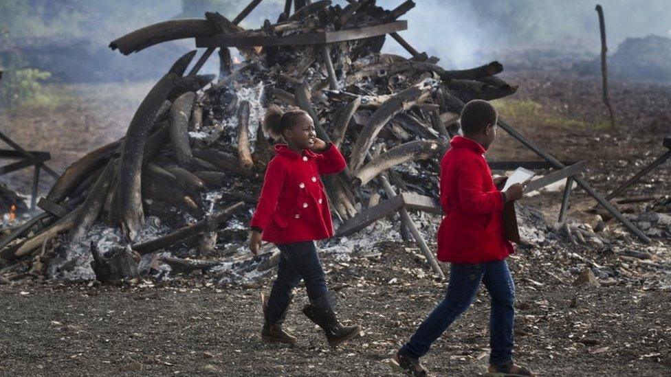 Kenyan children visit the still-smouldering pyres of more than 100 tonnes of elephant tusks and over 1 ton of rhino horns, in Nairobi National Park, Kenya Monday, May 2, 2016