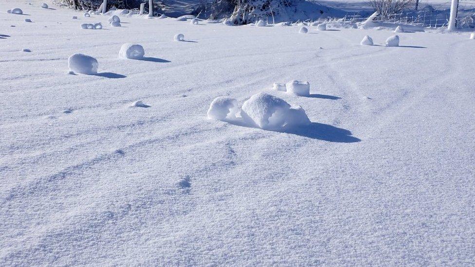 Snow rollers in Annahilt field