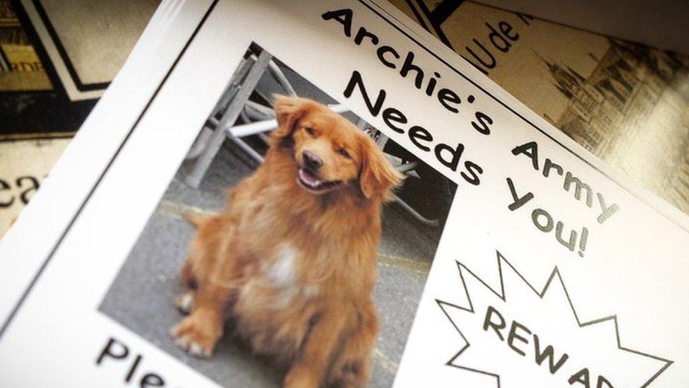 Archie the dog's missing poster