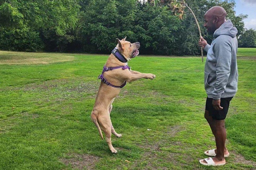 DJ Spoony with his XL bully dog Prince before the ban took effect