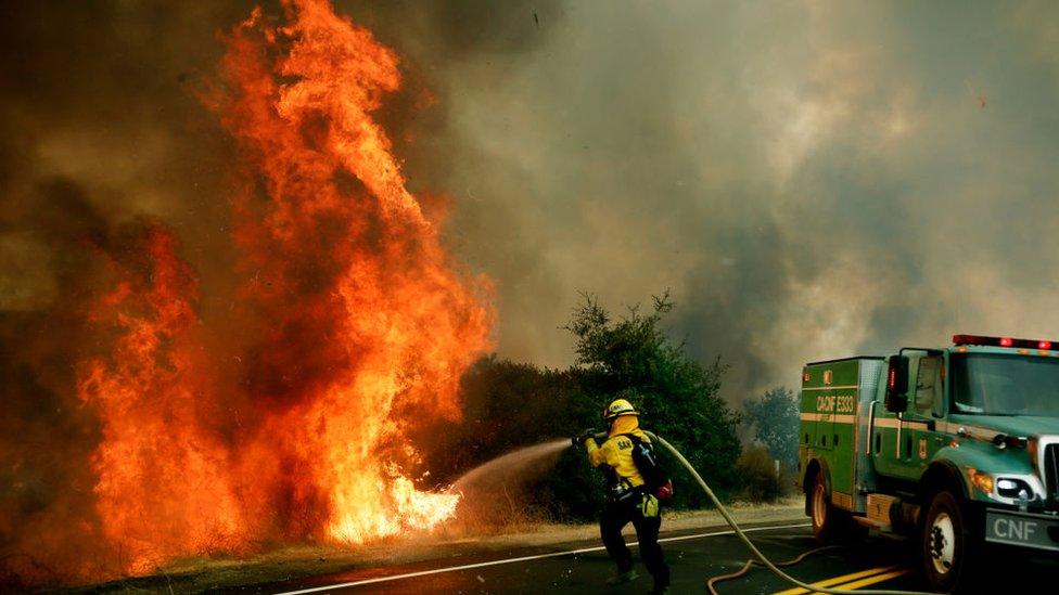 Fire fighters spray water on a wildfire in California