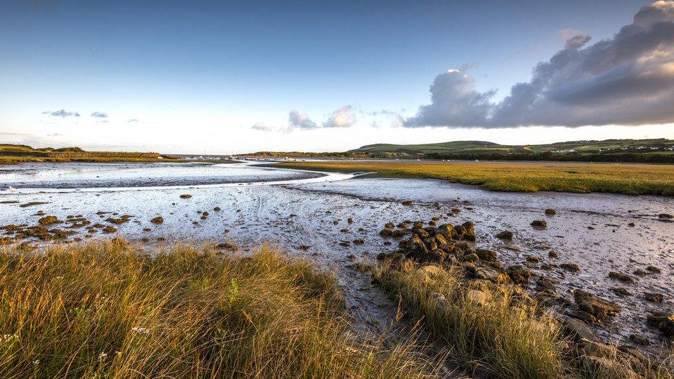 UK wetland