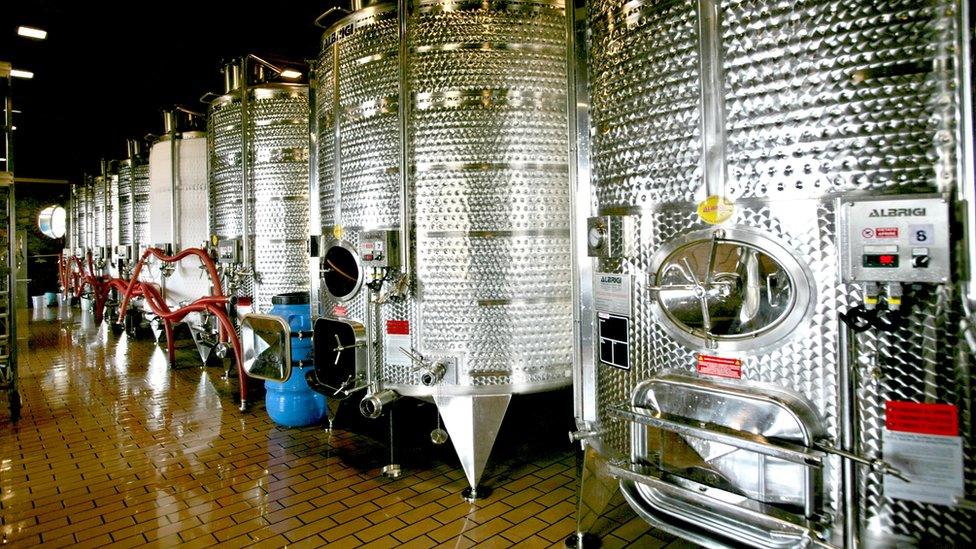 Wine fermentation tanks at the Tsinandali estate