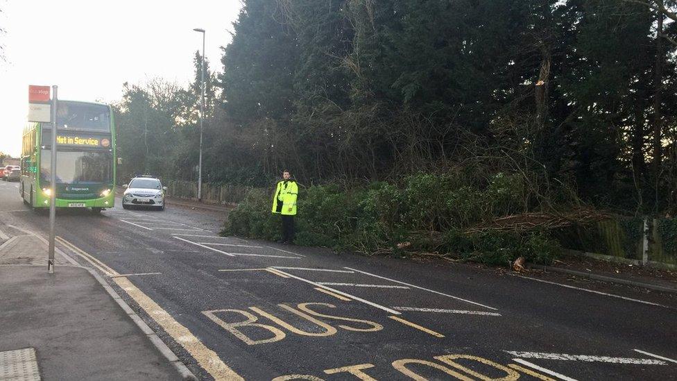 Tree down in Huntingdon Road, Cambridge