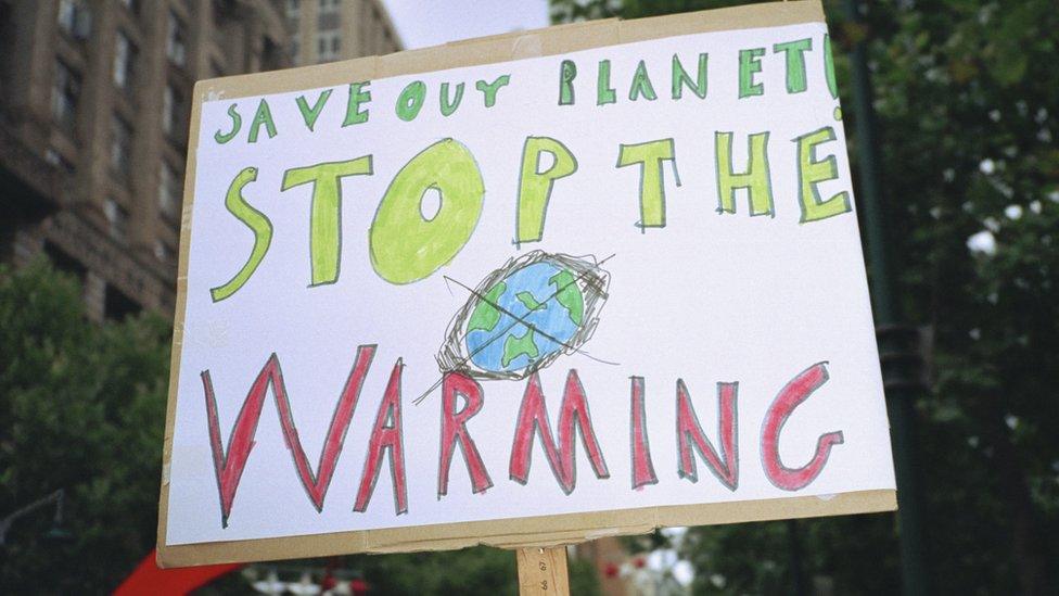 climate-change-protest-sign.