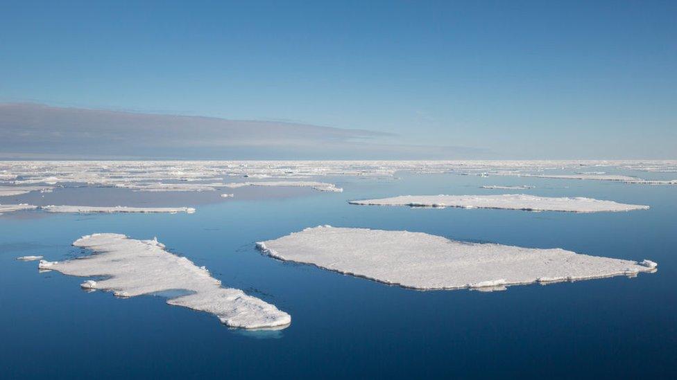 Ice floes in the Arctic Ocean