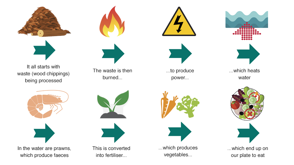 Graphic - how the biomass plant and eco park will work