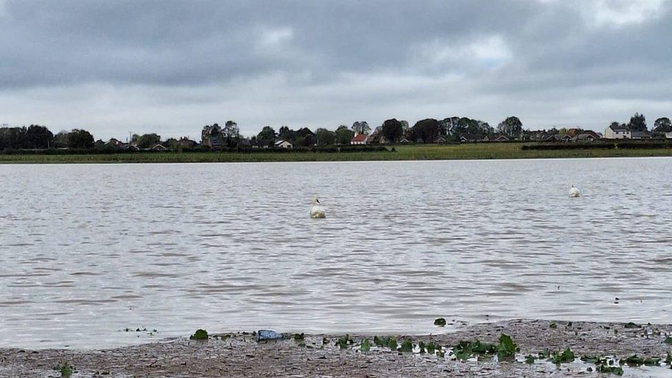 The flooded farm