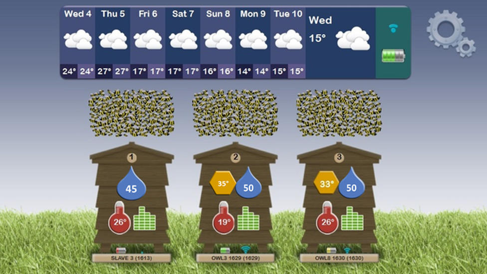 Dashboard of data