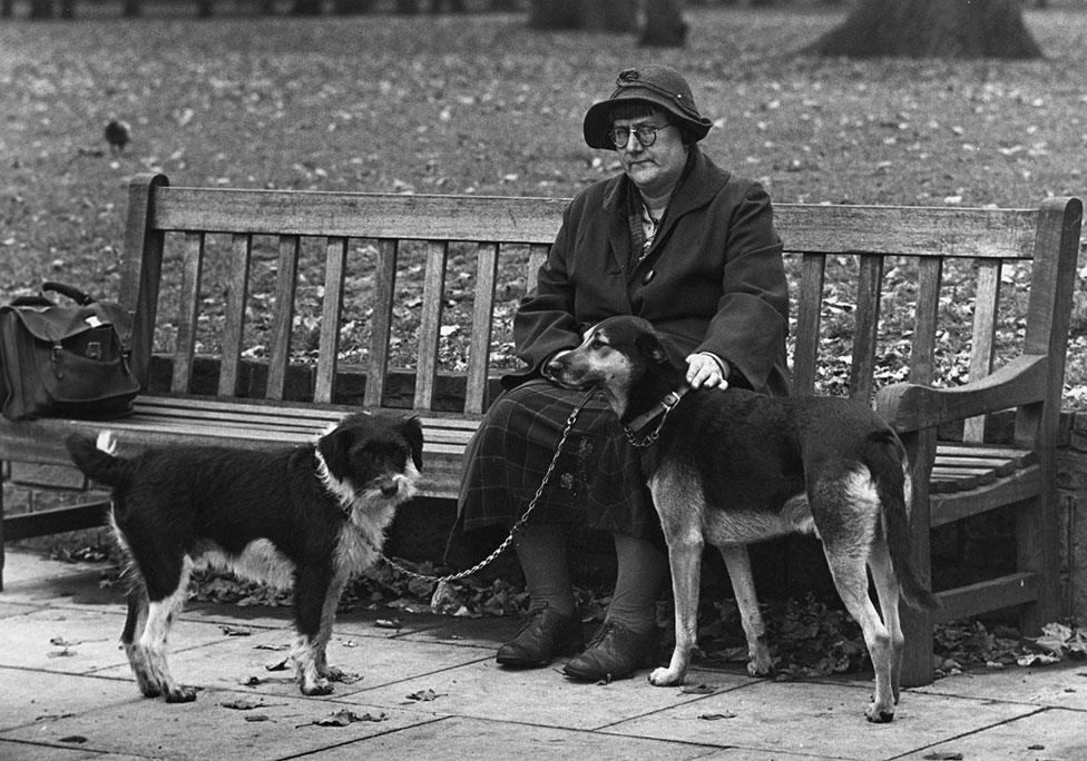 A woman sits on a bench with two dogs