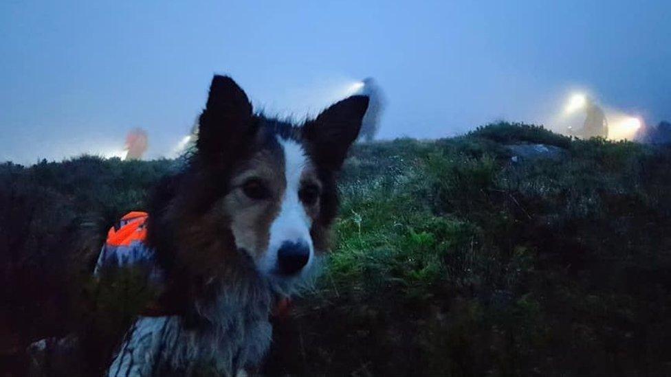 Jess in mist on hill