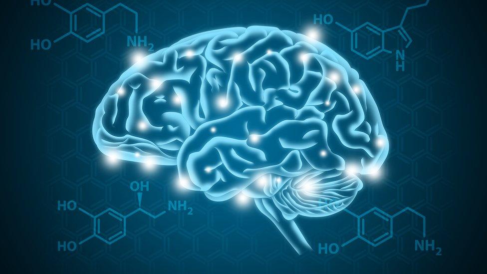 picture of serotonin in the brain