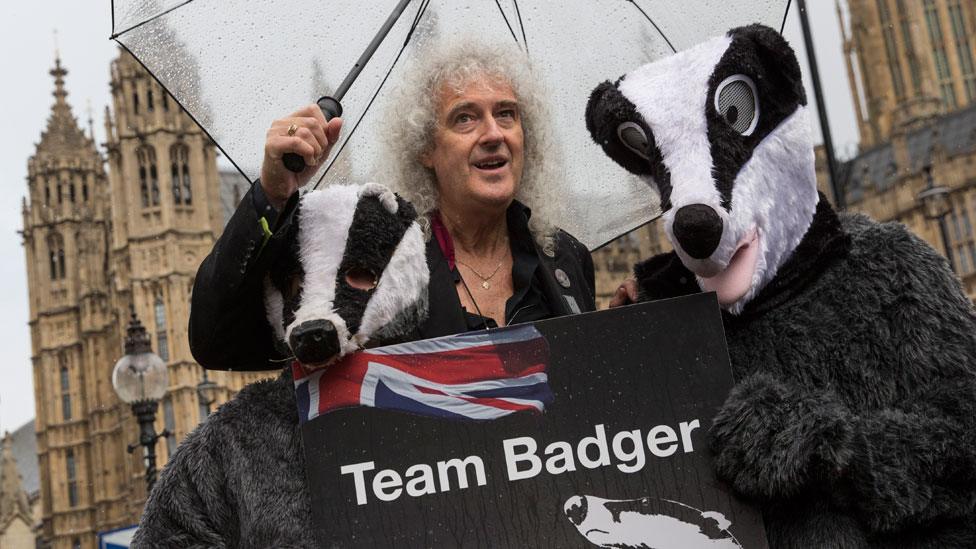 Brian May on badger cull protest in London