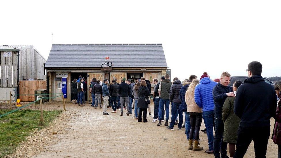 Queues at Diddly Squat Farm