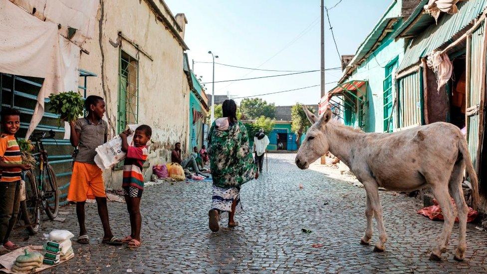 A donkey and residents on a street in Humera, Ethiopia