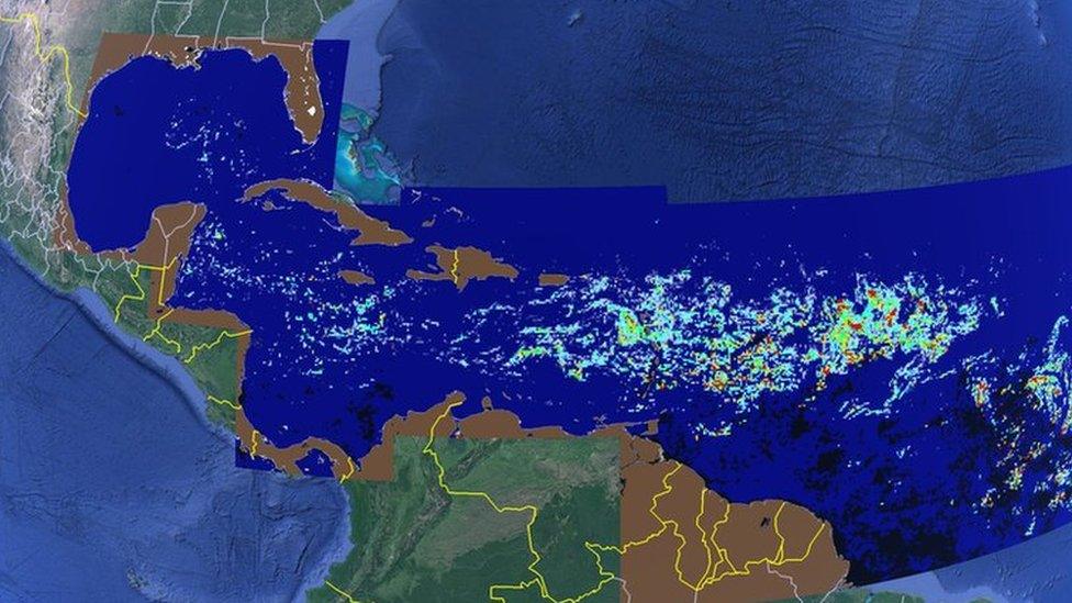 Map of sargassum