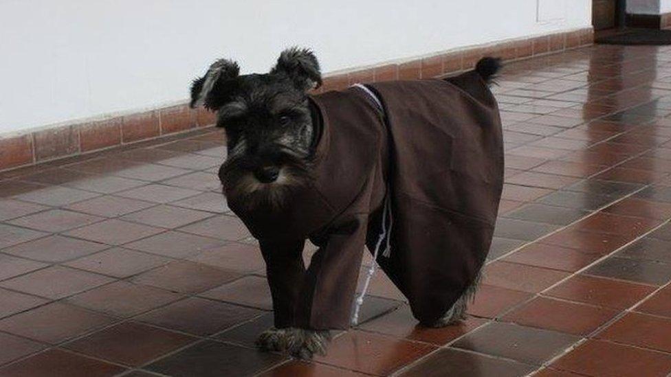 Friar Carmelo, the Bolivian dog