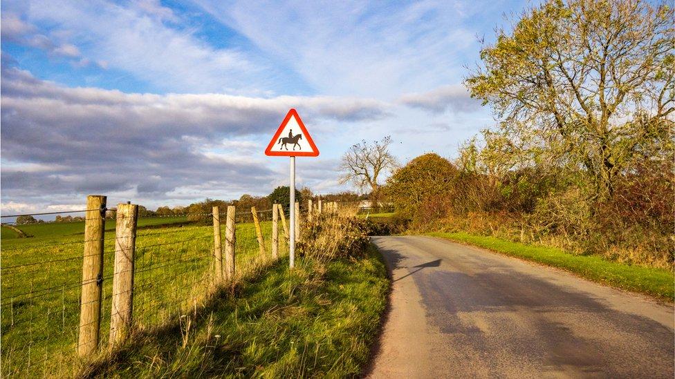 Countryside farmland and road