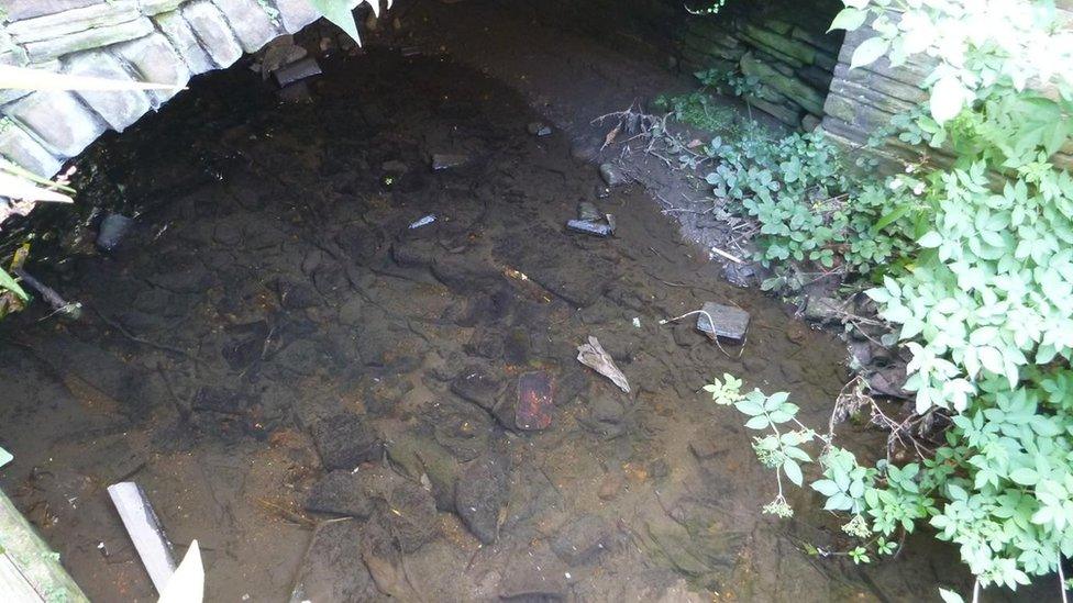 An image of the water in Bradford Beck in August 2018