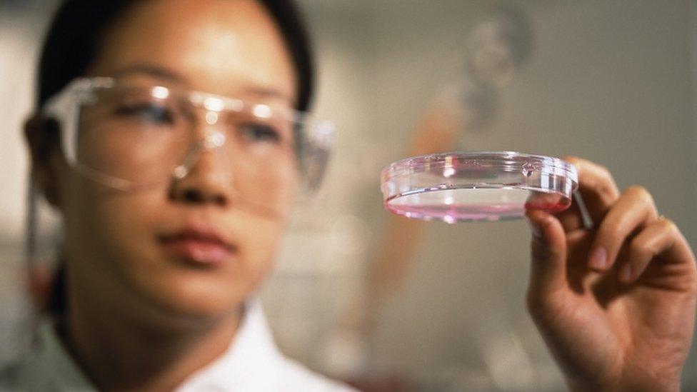 Woman scientist (Image: Science Photo Library)