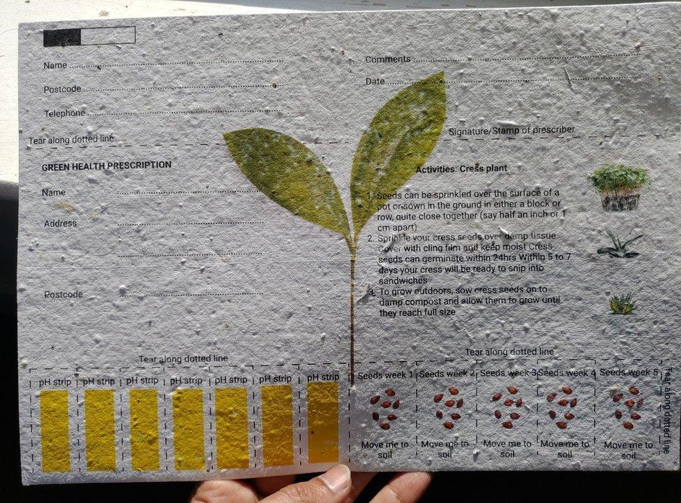 Kirubhagar's final design of the seeded prescription