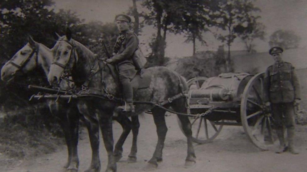 William Davies (chwith) yn gyfrifol am geffylau'r Cyffiniwr De Cymru