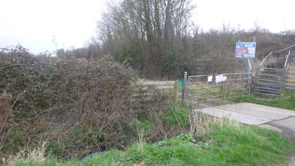 The stream where the dog's body was found