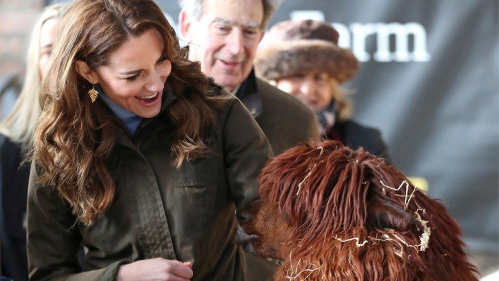 Duchess Kate having a nice chat with an alpaca