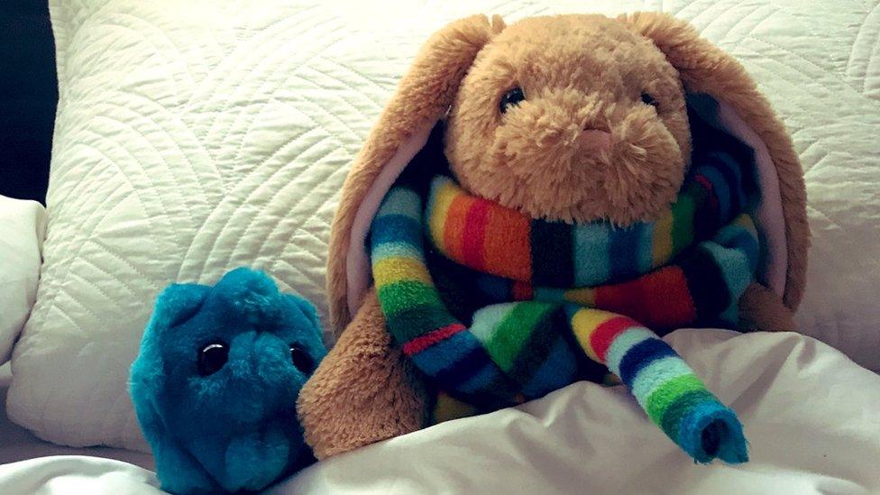 Two stuffed toys tucked up in bed