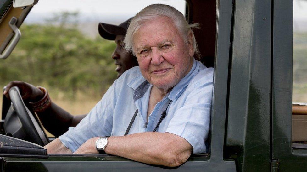 Sir David Attenborough