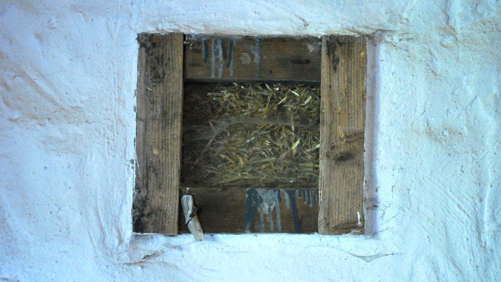 a window in the wall reveals the straw insulation