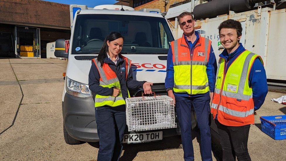 RSPCA Inspector Caroline Richardson holding the otter pup she can previously pulled from within a Tesco delivery van's engine