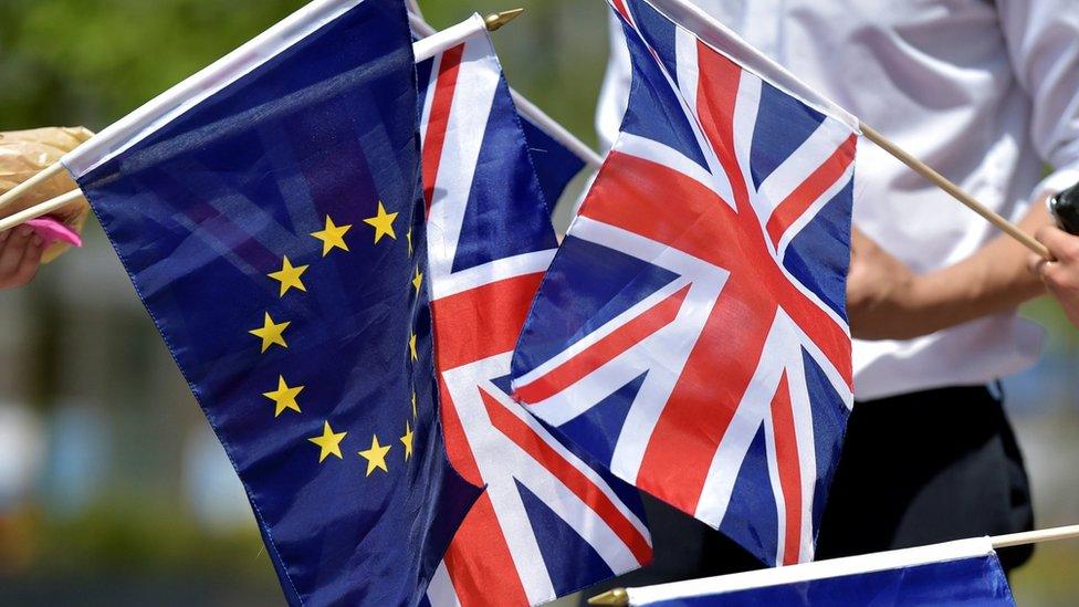 British students hold the UK Union flags and European Union flags in front of the European Parliament in Brussels, Belgium (June 23, 2016)