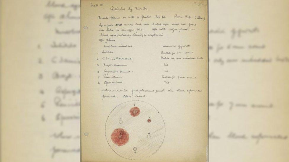 Lab notes made by Sir Alexander Fleming.