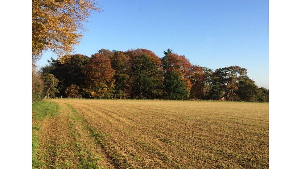 Rural Hertfordshire