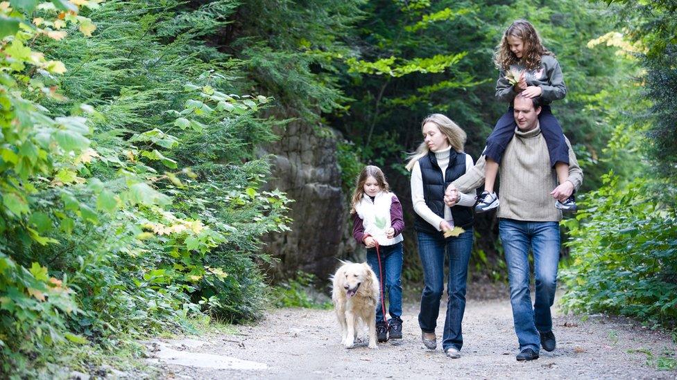 Family walking on a path through a forest