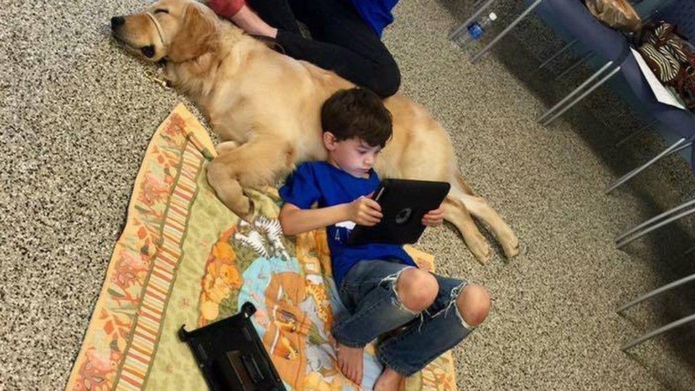 Boy and his new dog