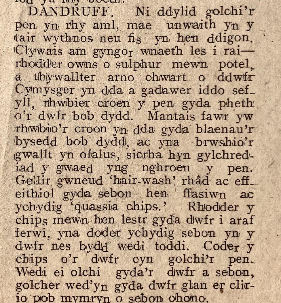 Cyngor Y Gymraeg - 1920