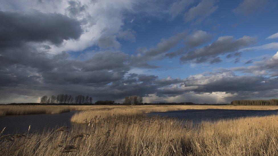 RSPB Lakenheath Fen